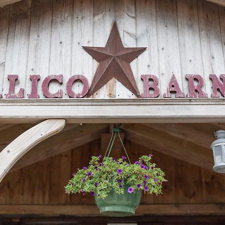 Calico Barn Hostel Widdrington Exterior photo